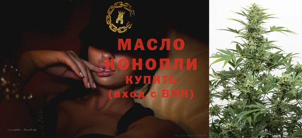 мдпв Гусев
