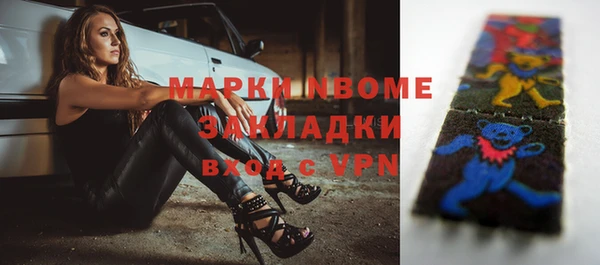 мдпв Гусев