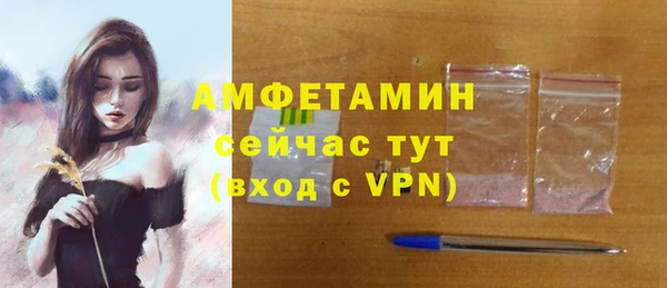 мдпв Гусев