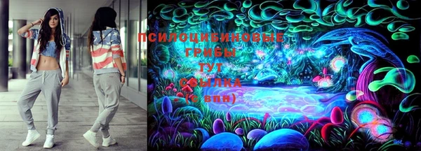 экстази Гусь-Хрустальный