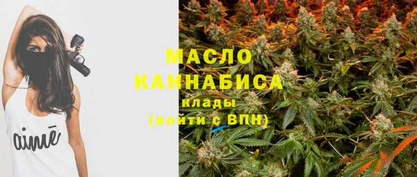 мдпв Гусев