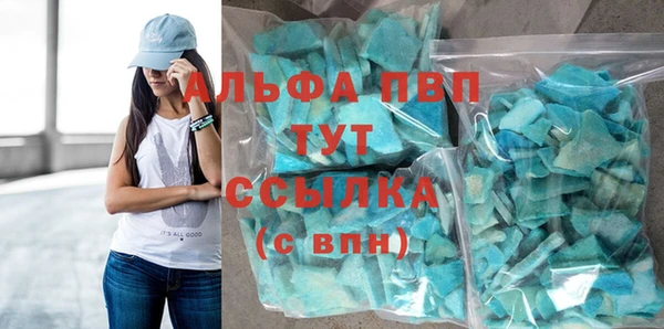 мдпв Гусев