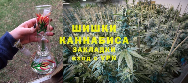 мдпв Гусев