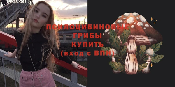 экстази Гусь-Хрустальный