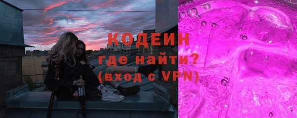 мдпв Гусев