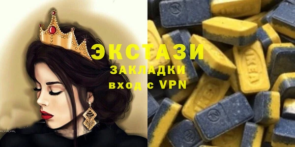 мдпв Гусев