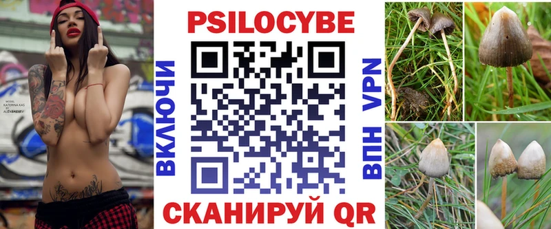 купить наркоту  Тамбов  кракен сайт  Галлюциногенные грибы GOLDEN TEACHER 